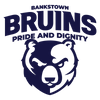 home team logo