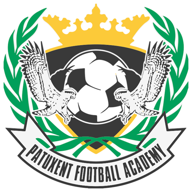 home team logo