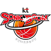 home team logo