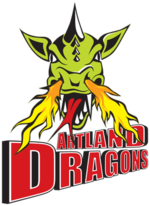 home team logo