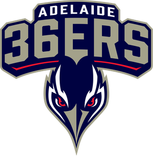 home team logo