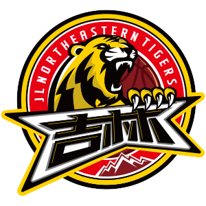 home team logo
