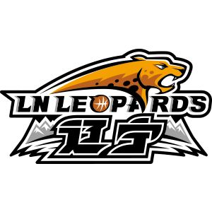 home team logo