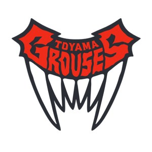 home team logo