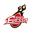 home team logo