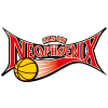 home team logo