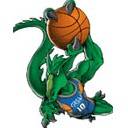 home team logo