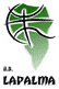 home team logo
