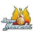 home team logo