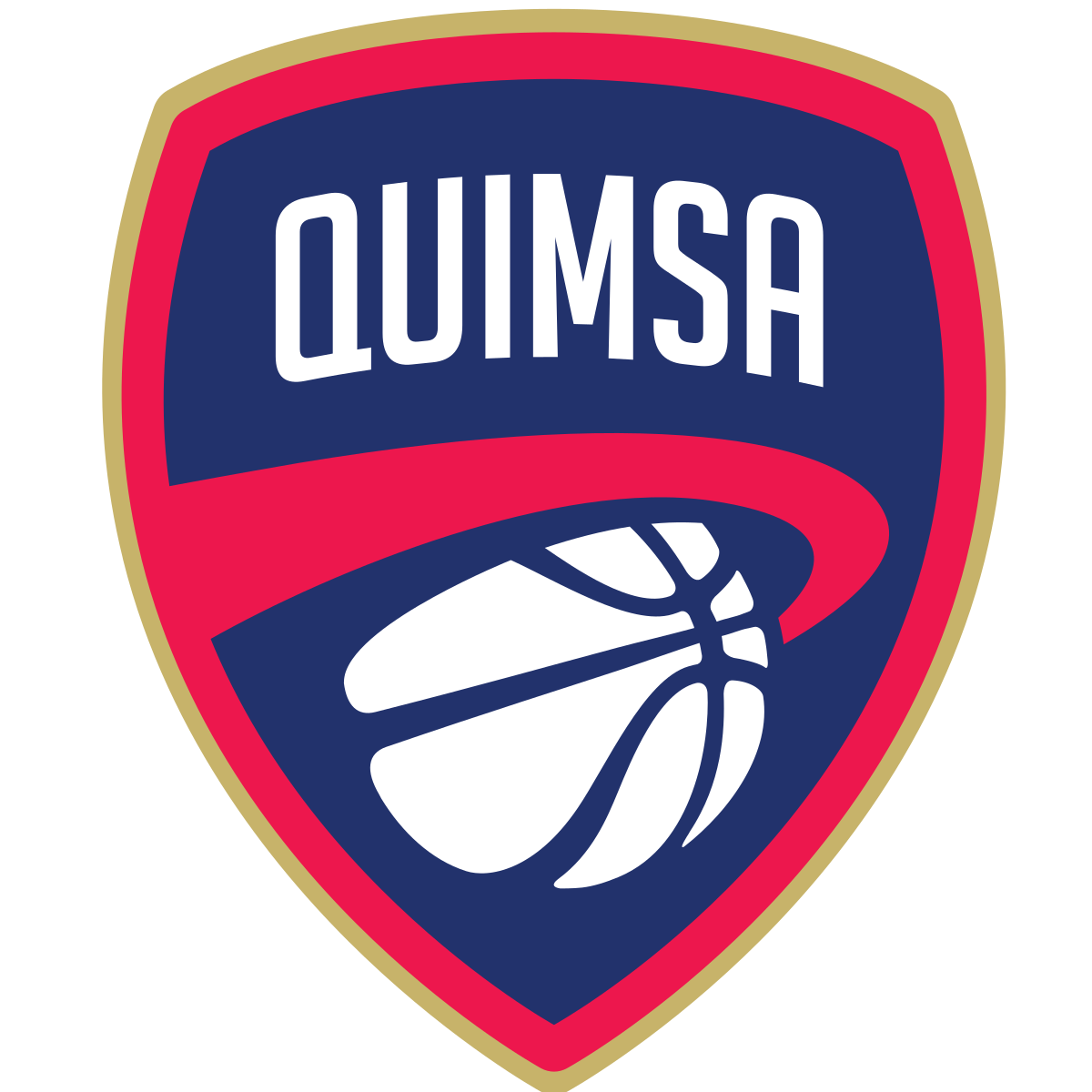 home team logo