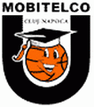 home team logo