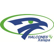 home team logo