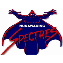 home team logo
