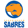 away team logo