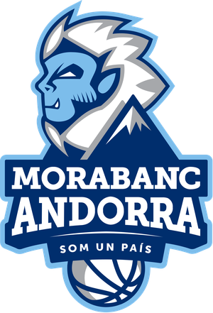 home team logo
