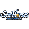 away team logo