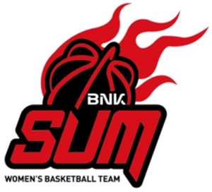 home team logo