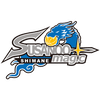 away team logo