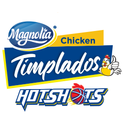 home team logo