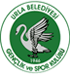 away team logo
