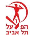 home team logo