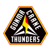 away team logo