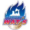 home team logo