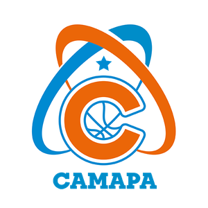 home team logo