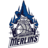 home team logo