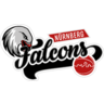 home team logo