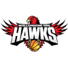 home team logo