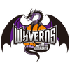home team logo