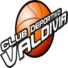 home team logo