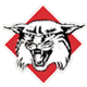 home team logo