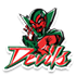 home team logo