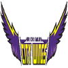 home team logo