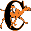 away team logo