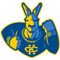 home team logo
