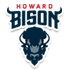home team logo