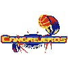 away team logo
