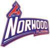 away team logo