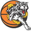 away team logo