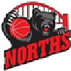 home team logo