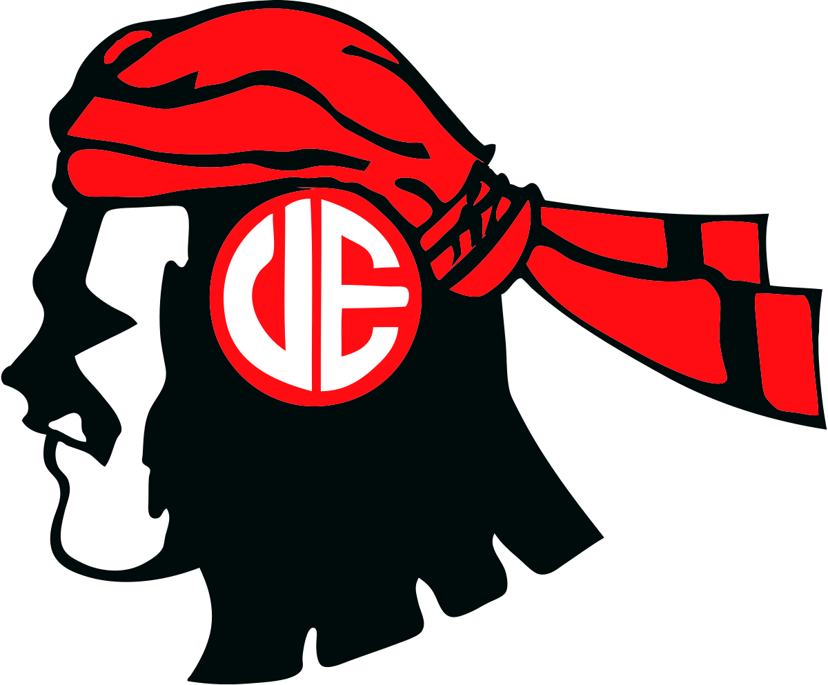 home team logo