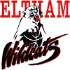 home team logo