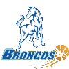 home team logo