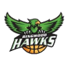 home team logo