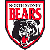 home team logo