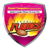 home team logo