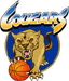 away team logo